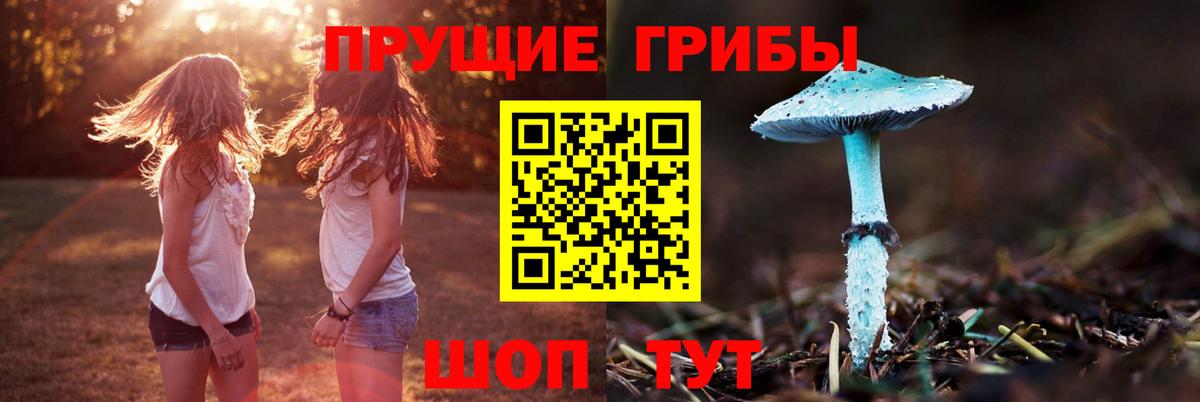 Псилоцибиновые грибы Psilocybine cubensis  Вход с VPN  Королёв 